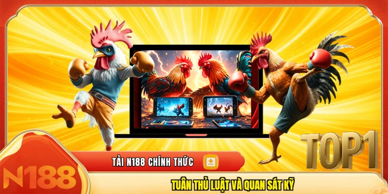 Tuân thủ luật và quan sát kỹ